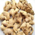 Top Quality Dehydrated Ginger Whole In Low Price